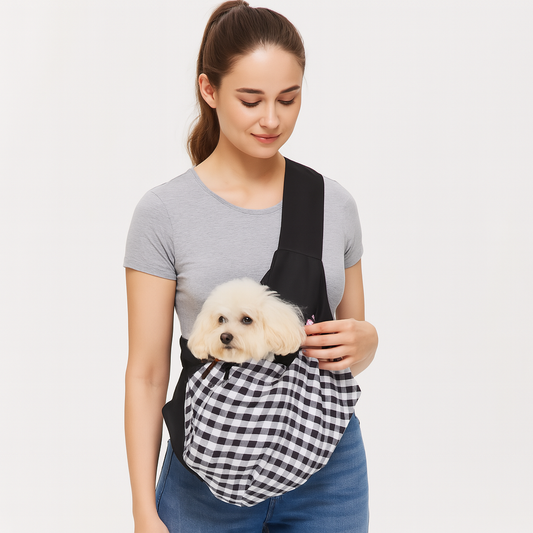 Small Pet Travel Carrier Bag