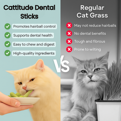 Comparison chart between Cattitude Dental Sticks and regular cat grass with images of a cat eating and a plant.