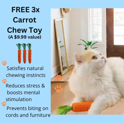 Cat playing with a carrot-shaped chew toy in a home setting, with promotional text on the left.