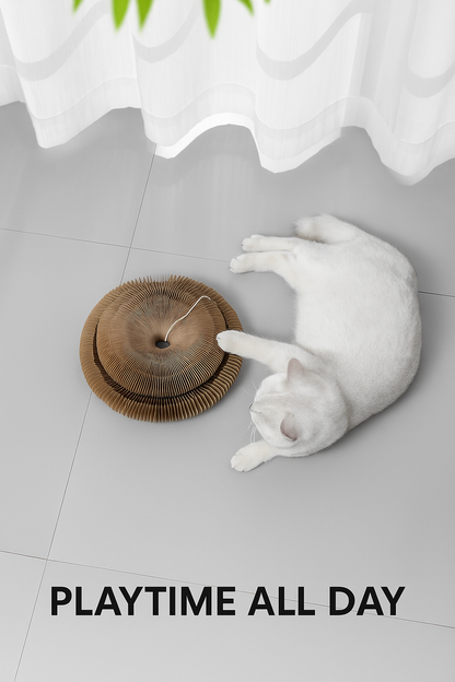 NestlePlay Cat Scratcher & Ball Toy – BUY 1 FREE 1
