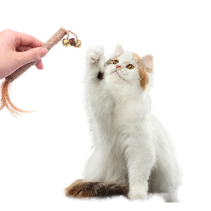 10pcs Cat Dental Chew Stick