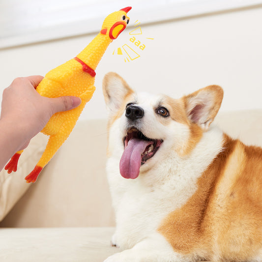 Funny Chicken Dog squeaky toy