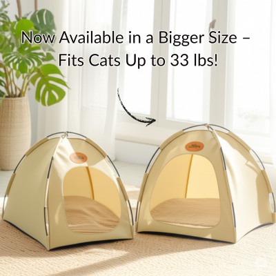 Two beige portable cooling cat tents in standard and large sizes on a carpeted floor with label for cats up to 33 lbs