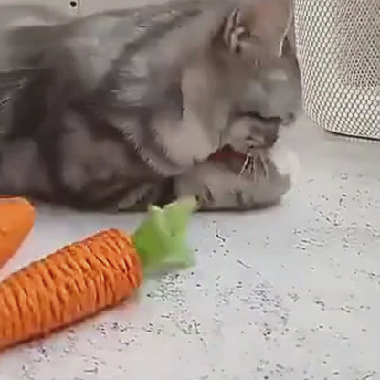 3pcs Carrot Cat Rope – Bite-Resistant Molar Toy